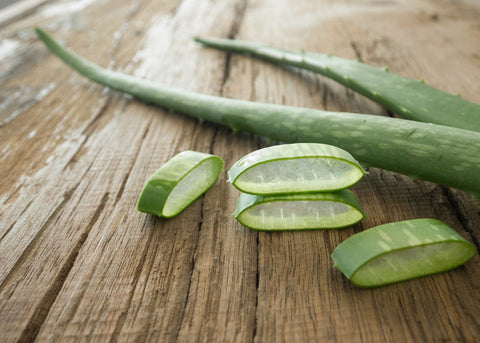 Aloe’s Array of Advantages