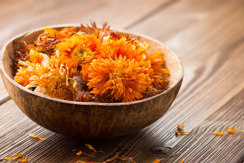 What Calendula Can Do For You
