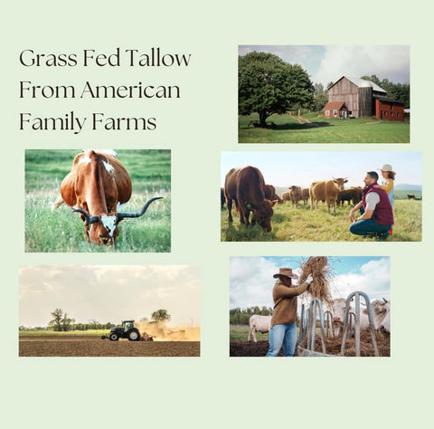 Tallow Balm Moisturizer - Turmeric Vanilla