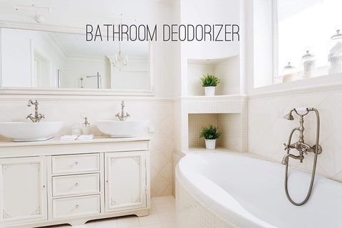 Citrus & Mint - Aromatherapy Spray - Renew