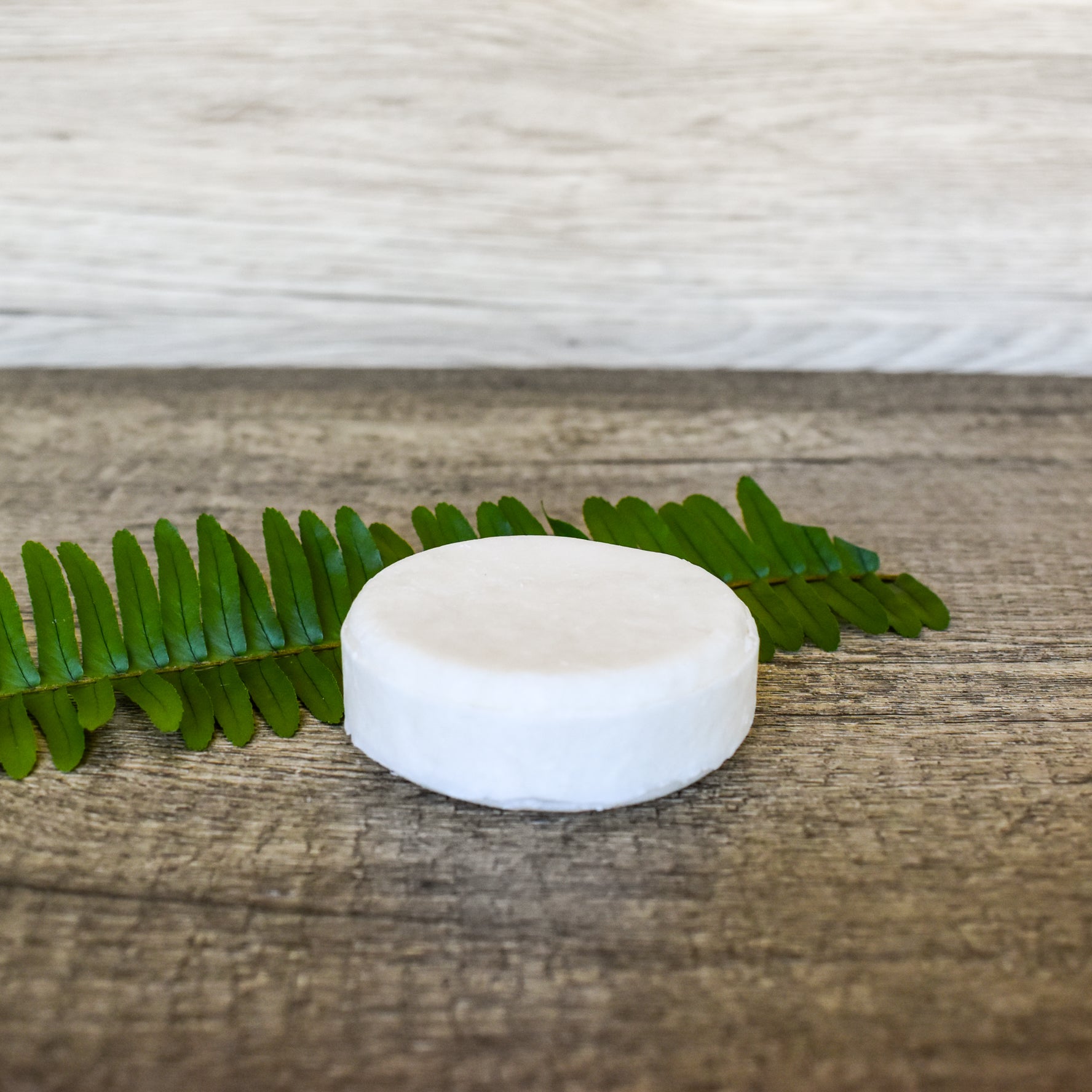 Shampoo Bar - Coconut - Hydrating (Refill - Without Tin)