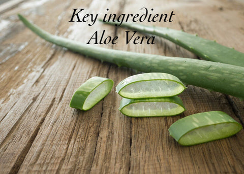 Aloe & Oatmeal with Calamine Fugly Soap